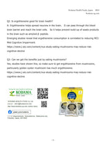 Load image into Gallery viewer, Golden Oyster Mushroom Extract (42ml x 30 Packets)