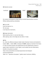 Load image into Gallery viewer, Golden Oyster Mushroom Extract (42mg x 30 Packets) 4Boxes
